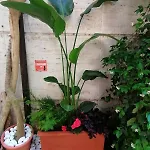 Casa Olimpia - Parioli 펜션
